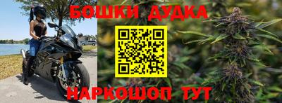 крисы Братск