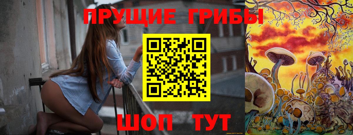 Галлюциногенные грибы Cubensis Богородицк